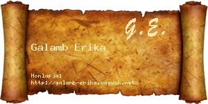 Galamb Erika névjegykártya